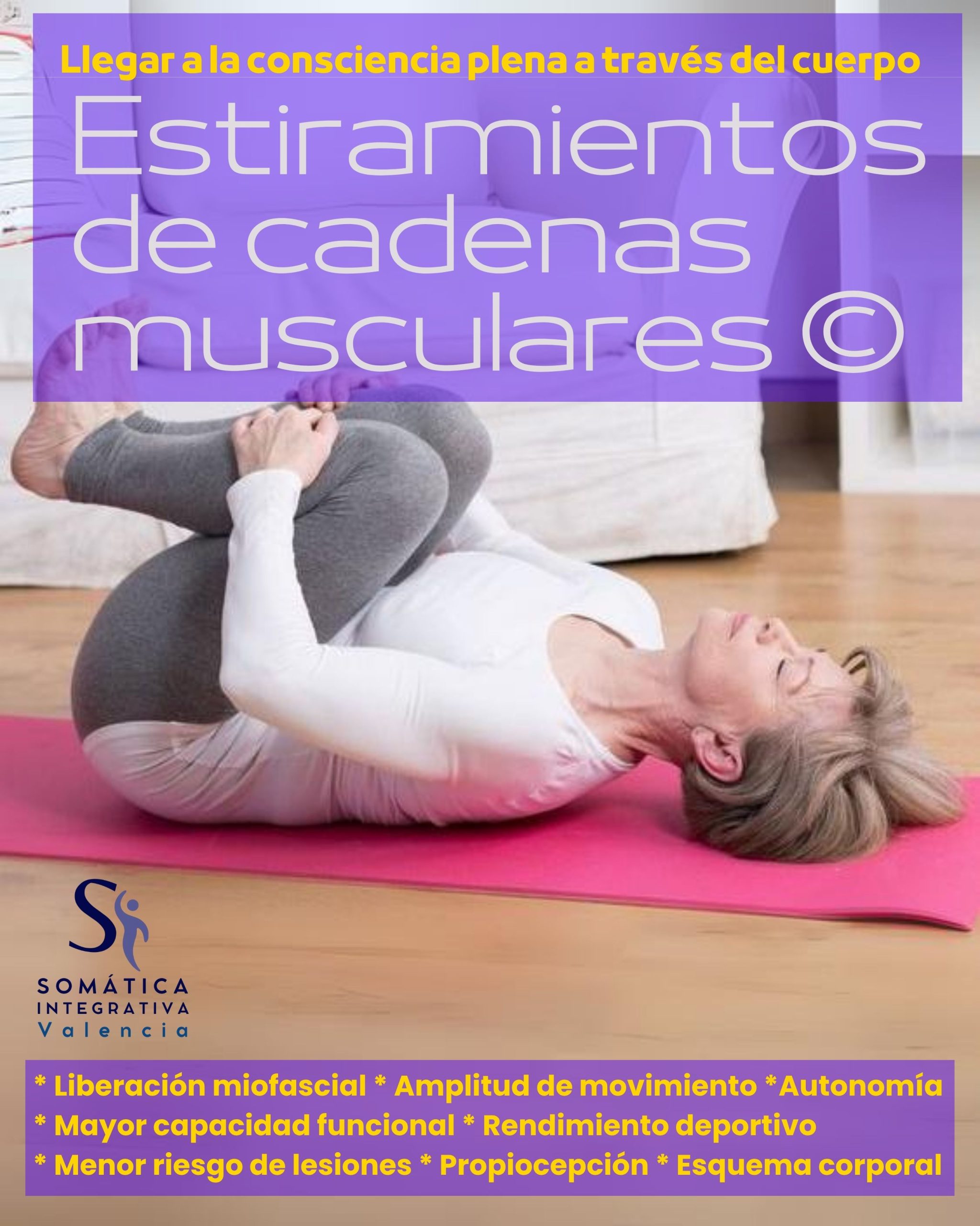 tensegridad y fascias