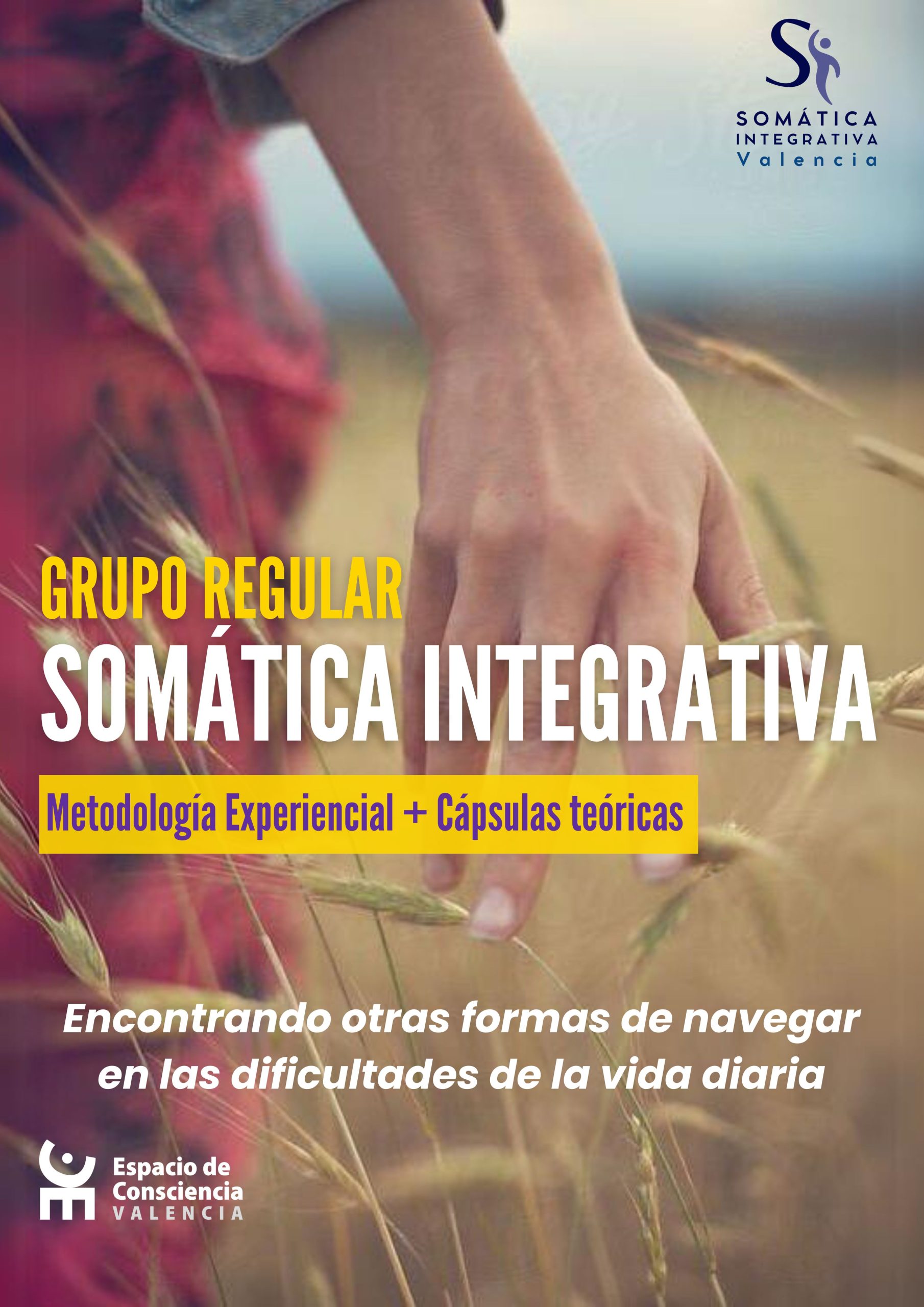 Grupo regular de Somática Integrativa